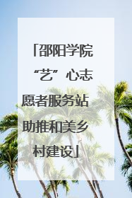 邵阳学院“艺”心志愿者服务站助推和美乡村建设
