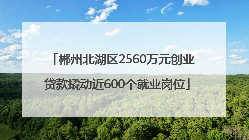 郴州北湖区2560万元创业贷款撬动近600个就业岗位