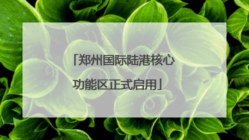 郑州国际陆港核心功能区正式启用