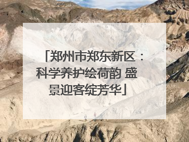 郑州市郑东新区：科学养护绘荷韵 盛景迎客绽芳华
