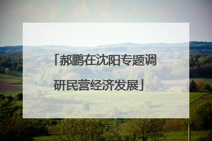 郝鹏在沈阳专题调研民营经济发展