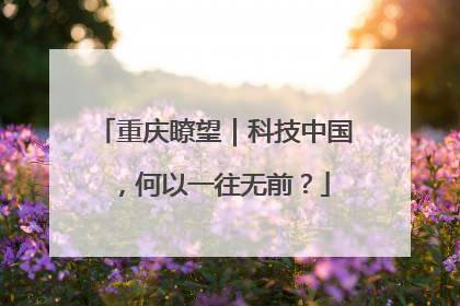 重庆瞭望｜科技中国，何以一往无前？