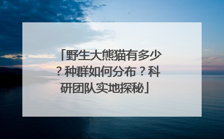 野生大熊猫有多少？种群如何分布？科研团队实地探秘