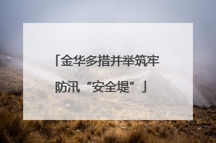 金华多措并举筑牢防汛“安全堤”