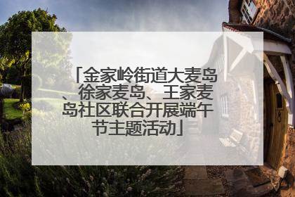 金家岭街道大麦岛、徐家麦岛、王家麦岛社区联合开展端午节主题活动