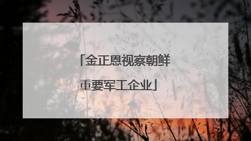 金正恩视察朝鲜重要军工企业