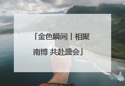金色瞬间丨相聚南博 共赴盛会