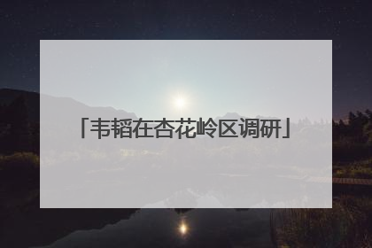 韦韬在杏花岭区调研