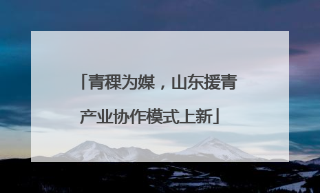 青稞为媒，山东援青产业协作模式上新