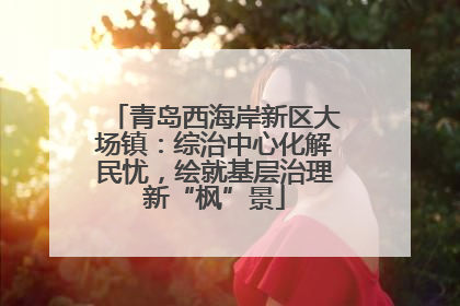 青岛西海岸新区大场镇：综治中心化解民忧，绘就基层治理新“枫”景