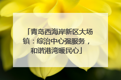 青岛西海岸新区大场镇：综治中心强服务，和谐港湾暖民心