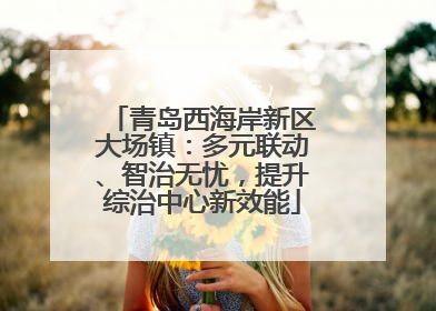 青岛西海岸新区大场镇：多元联动、智治无忧，提升综治中心新效能