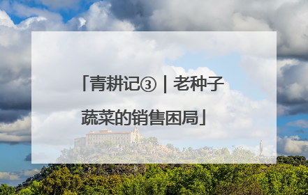 青耕记③｜老种子蔬菜的销售困局