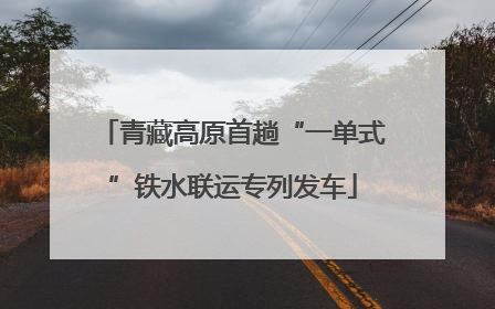 青藏高原首趟“一单式”铁水联运专列发车