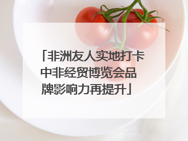 非洲友人实地打卡 中非经贸博览会品牌影响力再提升