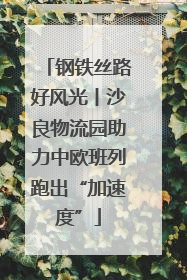 钢铁丝路好风光丨沙良物流园助力中欧班列跑出“加速度”