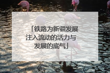 铁路为新疆发展注入流动的活力与发展的底气