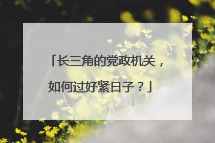 长三角的党政机关，如何过好紧日子？