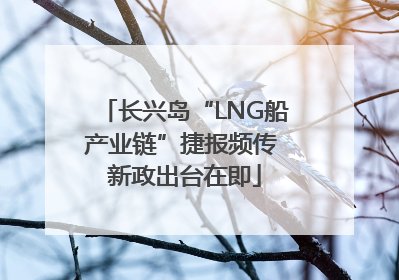 长兴岛“LNG船产业链”捷报频传 新政出台在即