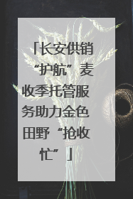 长安供销“护航”麦收季托管服务助力金色田野“抢收忙”