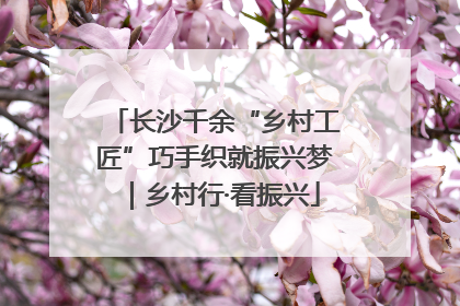 长沙千余“乡村工匠”巧手织就振兴梦｜乡村行·看振兴