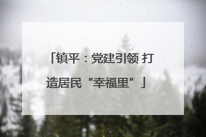 镇平：党建引领 打造居民“幸福里”
