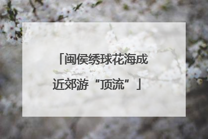 闽侯绣球花海成近郊游“顶流”