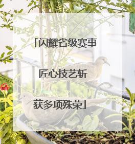 闪耀省级赛事  匠心技艺斩获多项殊荣