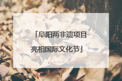 阜阳两非遗项目亮相国际文化节