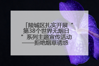 陵城区扎实开展“第38个世界无烟日”系列主题宣传活动——拒绝烟草诱惑 对第一支烟说不