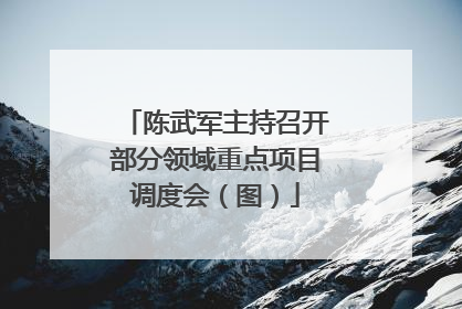 陈武军主持召开部分领域重点项目调度会（图）