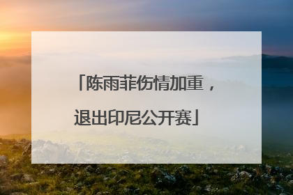 陈雨菲伤情加重，退出印尼公开赛