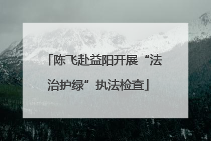 陈飞赴益阳开展“法治护绿”执法检查
