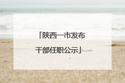 陕西一市发布干部任职公示