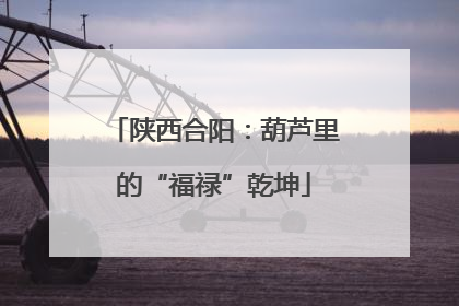 陕西合阳：葫芦里的“福禄”乾坤