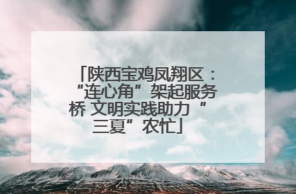 陕西宝鸡凤翔区：“连心角”架起服务桥 文明实践助力“三夏”农忙