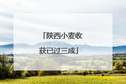 陕西小麦收获已过三成