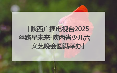 陕西广播电视台2025丝路星未来-陕西省少儿六一文艺晚会圆满举办