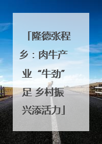 隆德张程乡：肉牛产业“牛劲”足 乡村振兴添活力