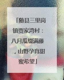 随县三里岗镇贾家湾村：八月瓜缀满藤，山野孕育甜蜜希望