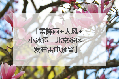 雷阵雨+大风+小冰雹，北京多区发布雷电预警