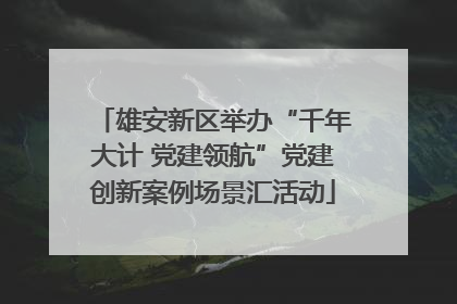 雄安新区举办“千年大计 党建领航”党建创新案例场景汇活动