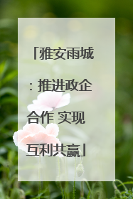 雅安雨城：推进政企合作 实现互利共赢