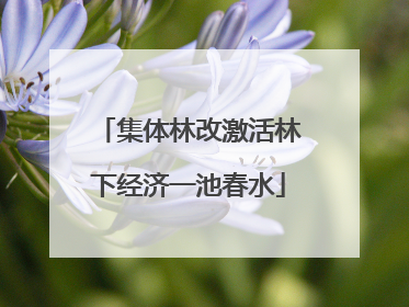 集体林改激活林下经济一池春水