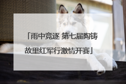 雨中竞逐 第七届陶铸故里红军行激情开赛