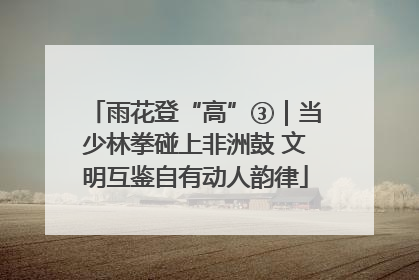 雨花登“高”③｜当少林拳碰上非洲鼓 文明互鉴自有动人韵律