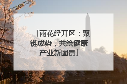 雨花经开区：聚链成势，共绘健康产业新图景