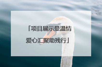 项目展示显温情 爱心汇聚助残行