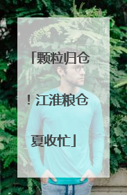 颗粒归仓！江淮粮仓夏收忙