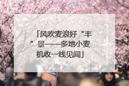 风吹麦浪好“丰”景——多地小麦机收一线见闻